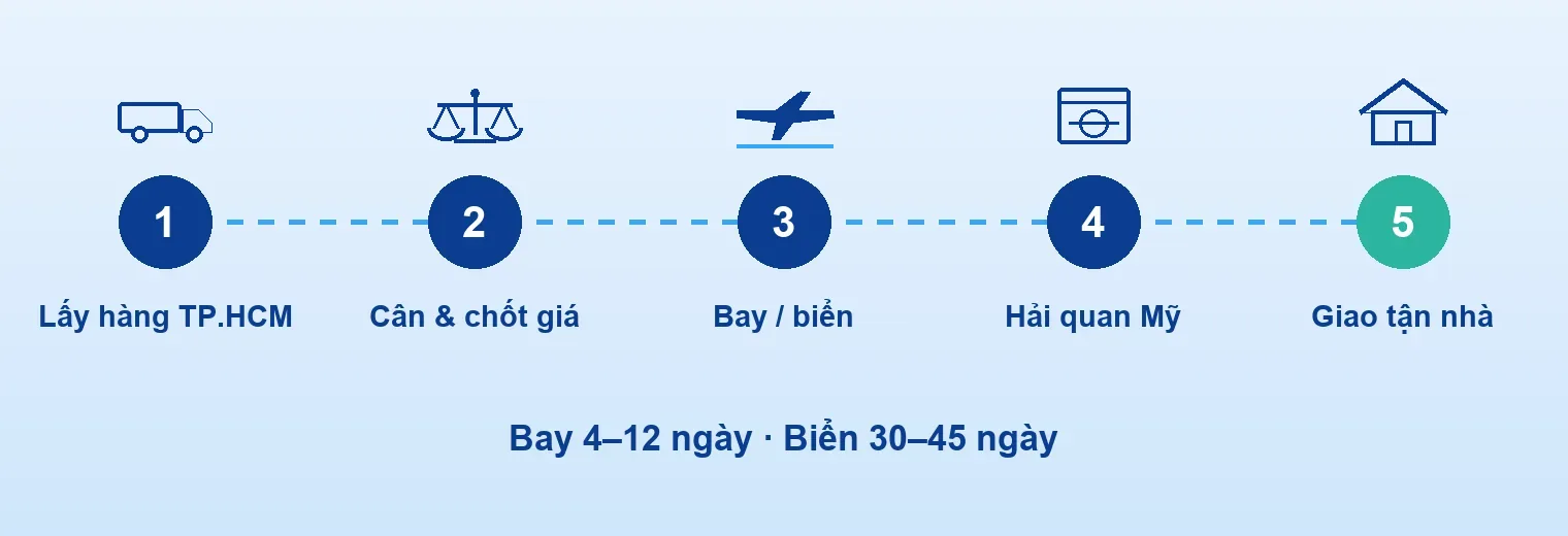 Lấy hàng → cân & chốt giá → bay/biển → hải quan Mỹ → UPS giao tận nhà.
